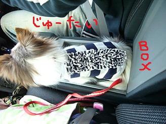 2012050208.jpg