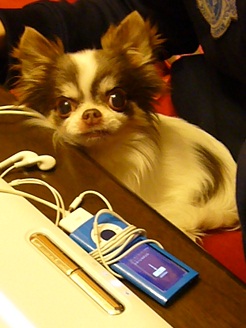2012050701.jpg