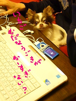2012050702.jpg
