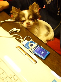 2012050703.jpg