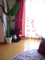 2012050901.jpg