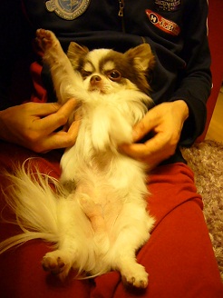 2012051002.jpg