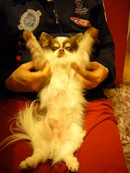 2012051003.jpg