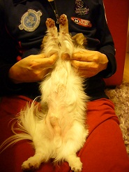 2012051004.jpg