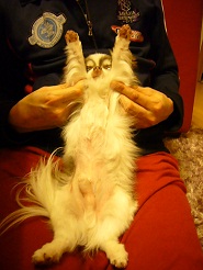 2012051005.jpg