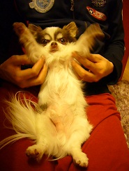 2012051006.jpg