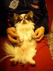2012051007.jpg