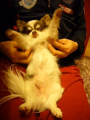 2012051008.jpg