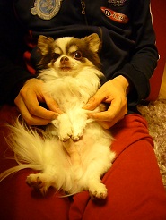 2012051010.jpg