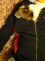 2012051011.jpg
