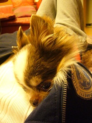 2012051012.jpg