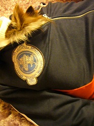 2012051013.jpg