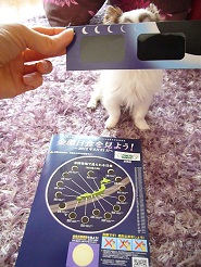 2012052102.jpg
