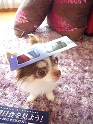 2012052103.jpg