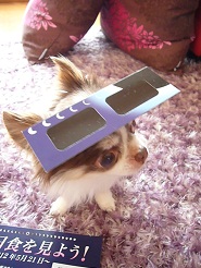 2012052104.jpg
