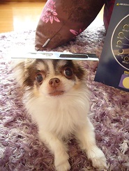 2012052105.jpg