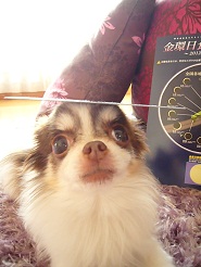 2012052106.jpg