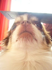 2012052107.jpg