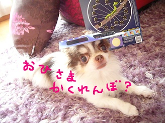 2012052108.jpg