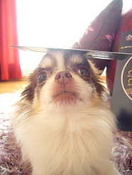 2012052109.jpg