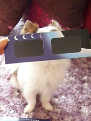2012052110.jpg