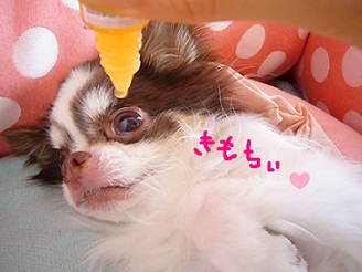 2012052701.jpg