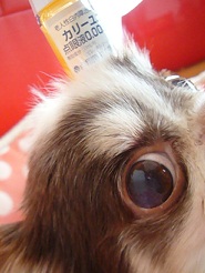 2012052702.jpg