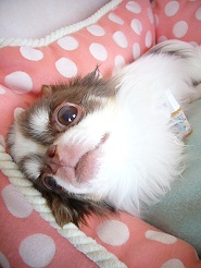 2012052704.jpg