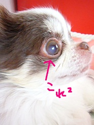 2012052705.jpg