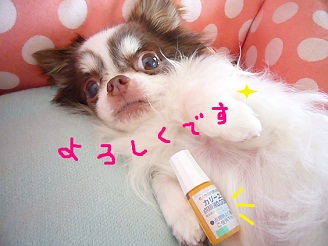 2012052706.jpg