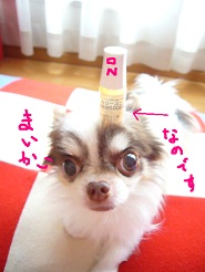2012052707.jpg