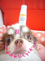 2012052708.jpg