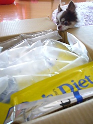 2012052801.jpg