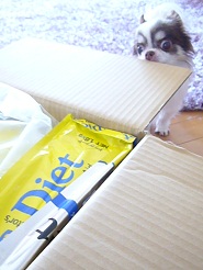 2012052802.jpg