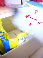 2012052805.jpg