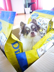 2012052806.jpg