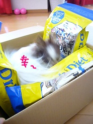 2012052807.jpg