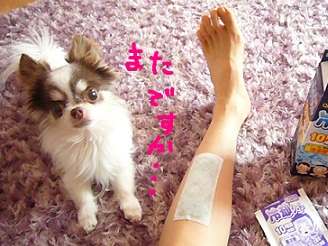 2012053101.jpg