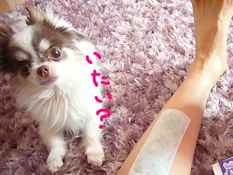 2012053102.jpg