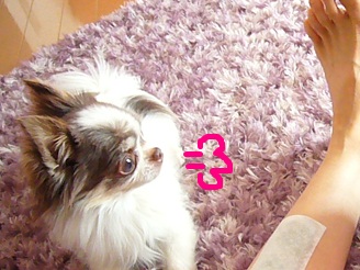 2012053103.jpg