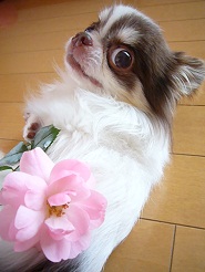 2012060201.jpg
