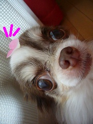 2012060202.jpg