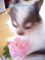 2012060203.jpg