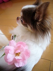 2012060204.jpg