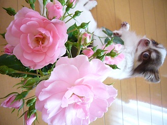 2012060205.jpg