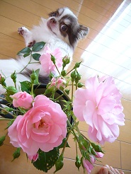 2012060206.jpg