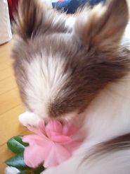 2012060207.jpg
