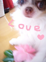 2012060208.jpg