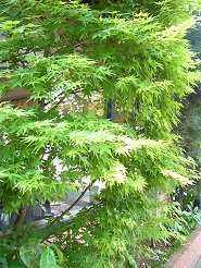 2012060401.jpg