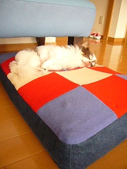 2012060509.jpg